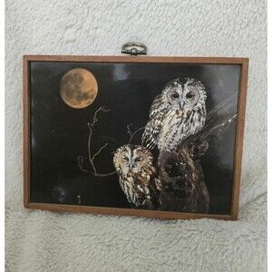 Vintage Two Wood Owls Night Sky Glossy Print Wall Decor